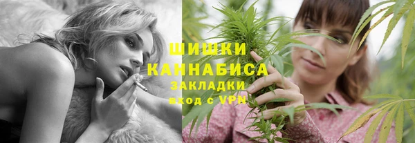 спиды Богородицк