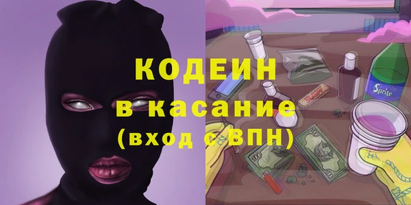 спиды Богородицк