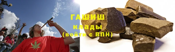 спиды Богородицк