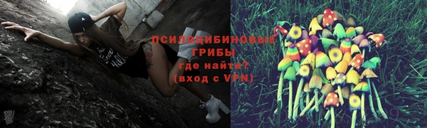 кокс Богородск