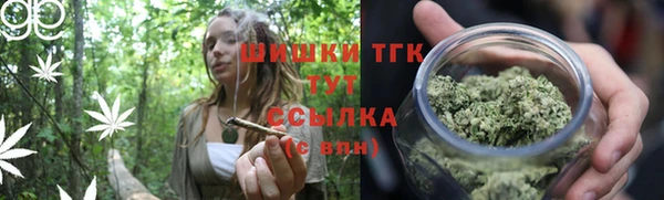 ALPHA PVP Бородино