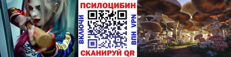 Купить закладки Лосино-Петровский Псилоцибиновые грибы Magic Shrooms