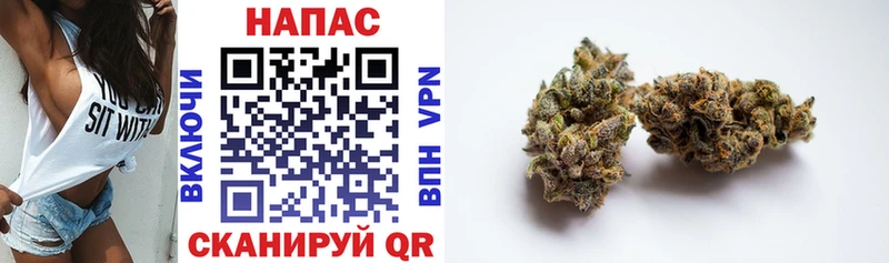 Купить закладки  Лосино-Петровский  Бошки Шишки White Widow 